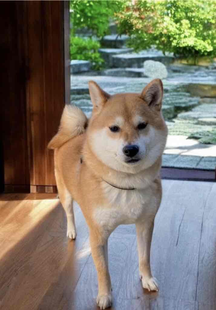 年始のご挨拶