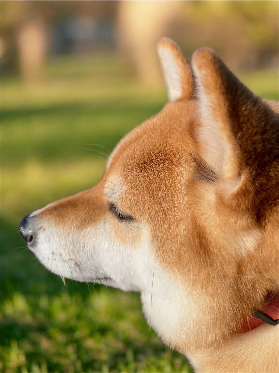 春の混雑前に……売るなら❝今❝がオススメです！