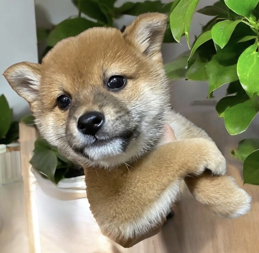 【ゴールデンウィーク期間中の休業日のお知らせ】